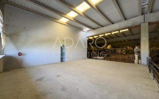 Alquiler de Nave Logística en San Agustín del Guadalix de 3.918 m²
