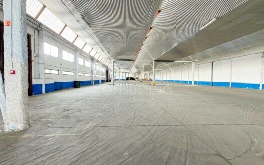 Alquiler de Nave Industrial en San Agustín de Guadalix 3.384 m²